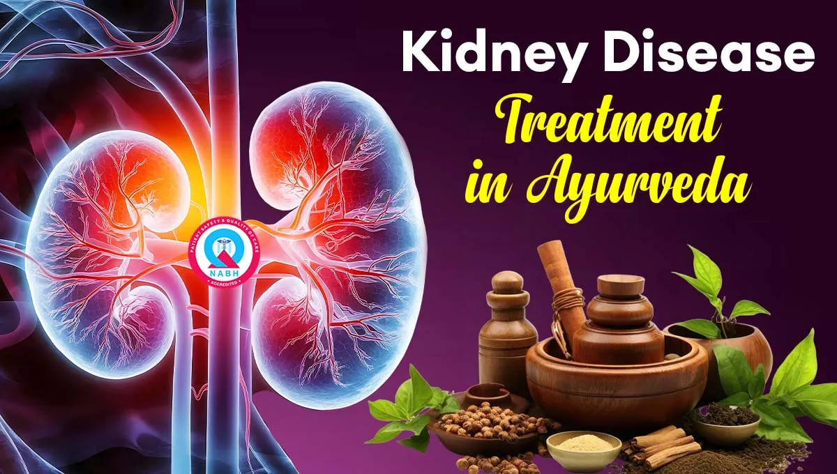 kidney-disease-treatment-in-ayurveda